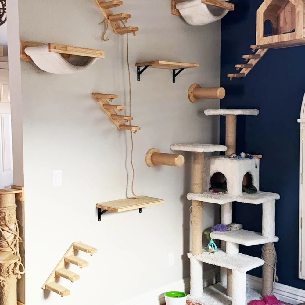 Cat Climbing Wall with Rope Ladder