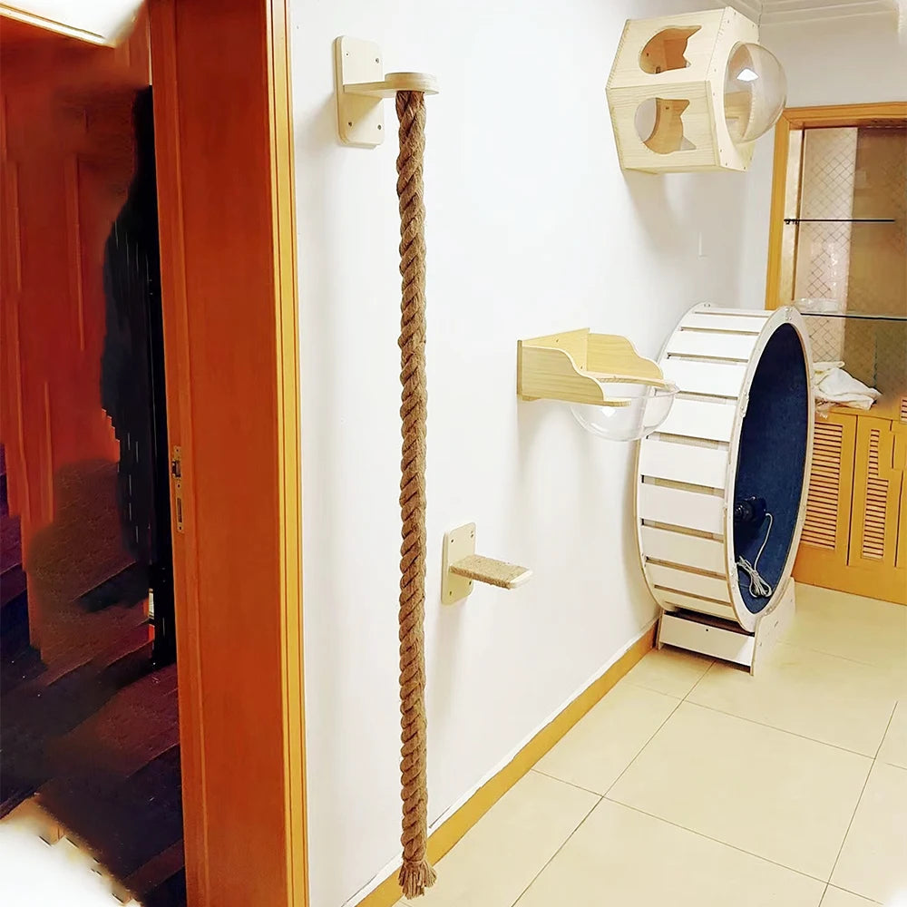 Cat Climbing Wall with Rope Ladder