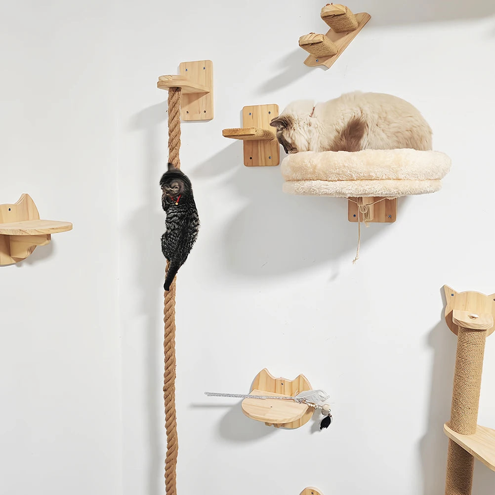 Cat Climbing Wall with Rope Ladder