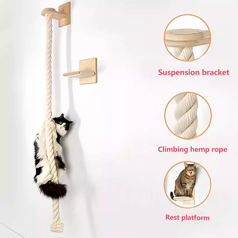 Cat Climbing Wall with Rope Ladder