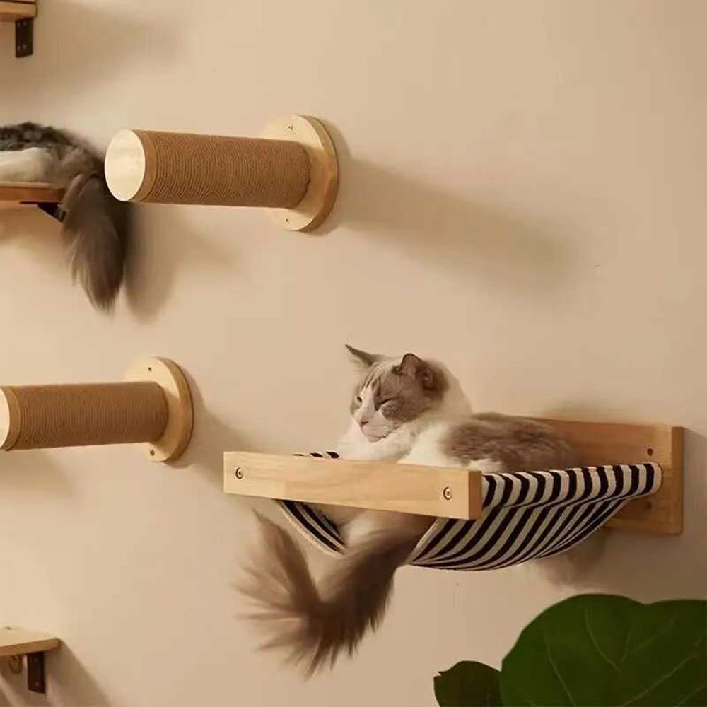 Cat Climbing Wall with Rope Ladder